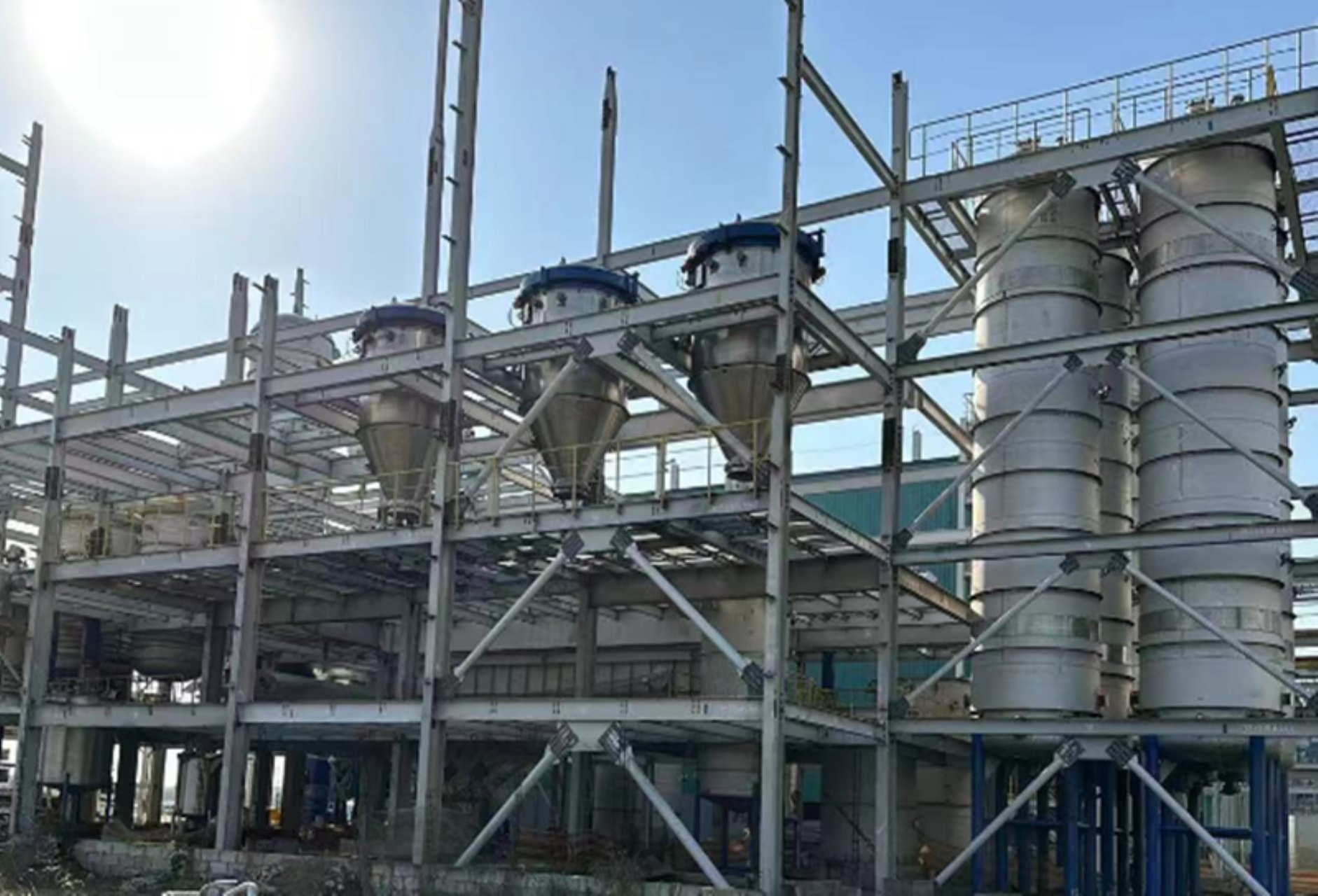 100t/d Rice bran oil Refining plant